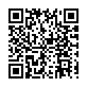 To view this 2008 Honda Element Trenton NJ from Pinto Automotive Group | Used Car Loans Trenton NJ, please scan this QR code with your smartphone or tablet to view the mobile version of this page.