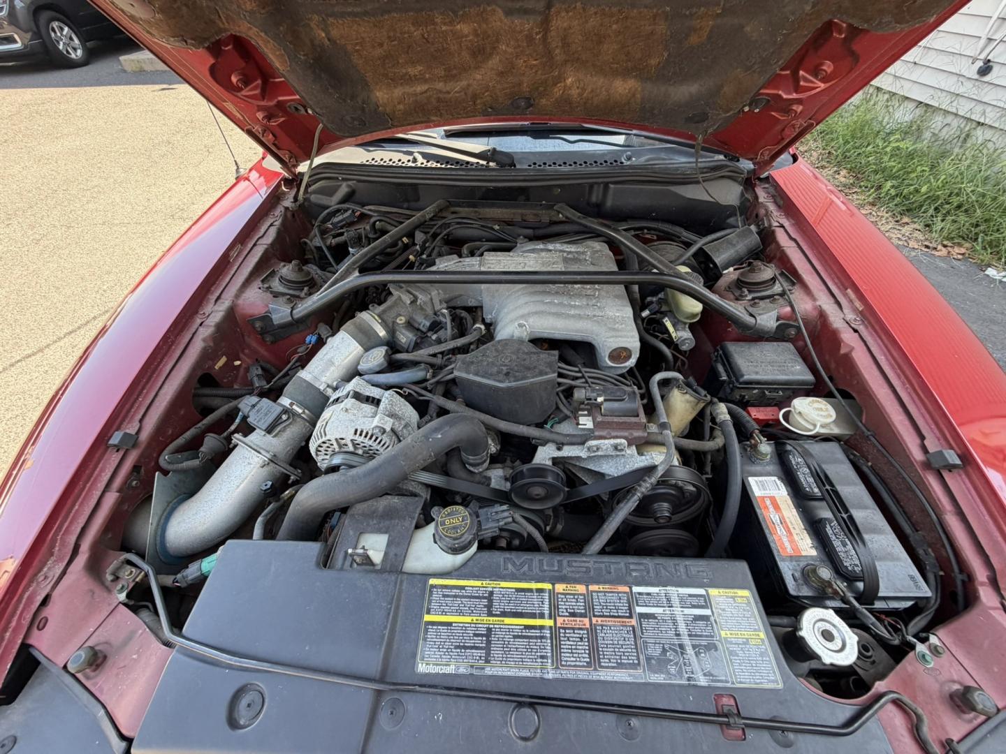 1994 Ford Mustang GT Coupe (1FALP42T7RF) with an 5.0L V8 OHV 16V engine, located at 1018 Brunswick Ave, Trenton, NJ, 08638, (609) 989-0900, 40.240086, -74.748085- Photo#8